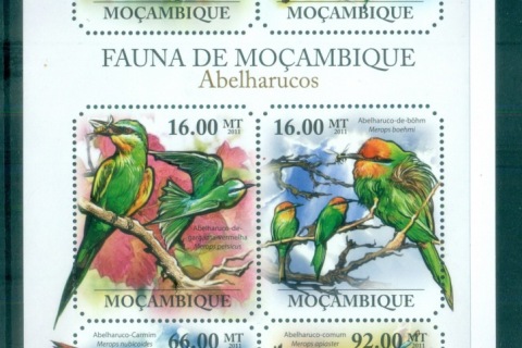 Mozambique-2011-Bird_9