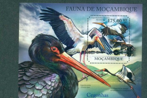 Mozambique-2011-Birds