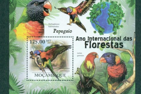 Mozambique-2011-Birds_2