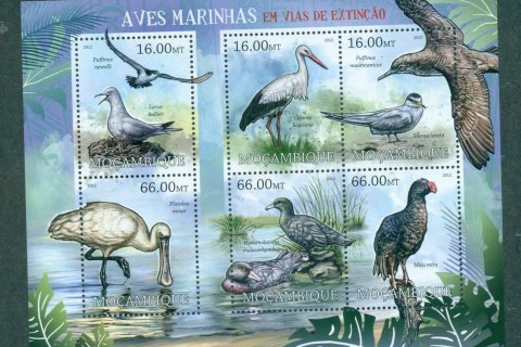 Mozambique-2011-Birds_3