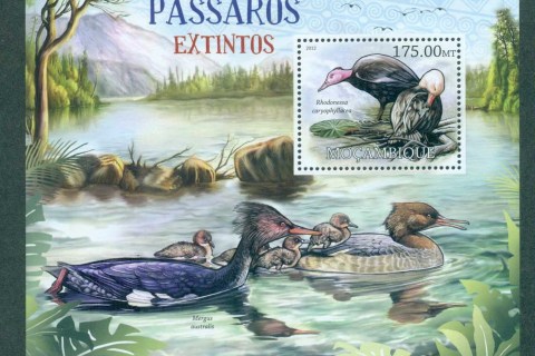 Mozambique-2011-Birds_5