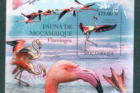 Mozambique-2011-Birds_6