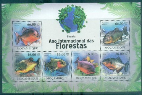 Mozambique-2011-Fish_2