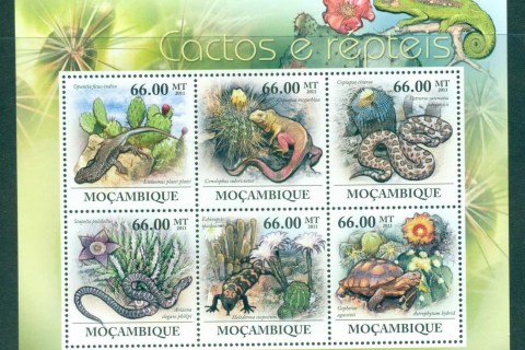 Mozambique-2011-Flora