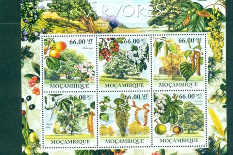 Mozambique-2011-Flora_1