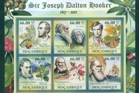 Mozambique-2011-Flora_2