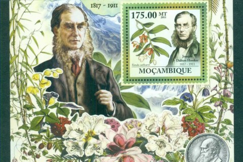 Mozambique-2011-Flora_3