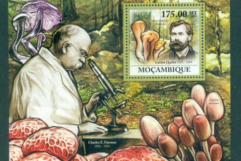 Mozambique-2011-Funghi