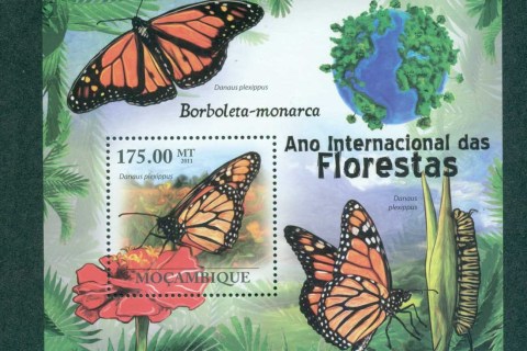 Mozambique-2011-Insects