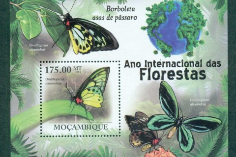 Mozambique-2011-Insects_3