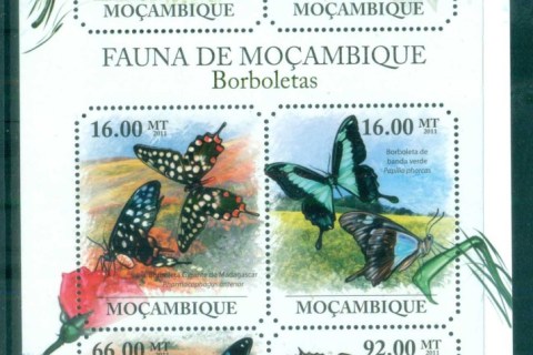 Mozambique-2011-Insects_5