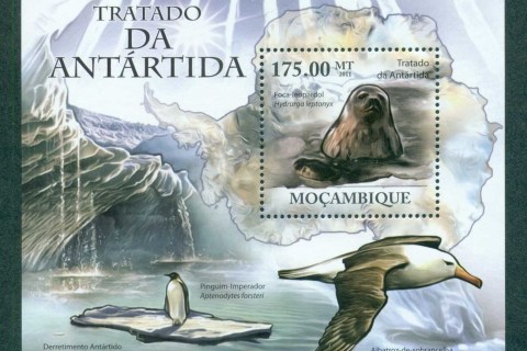 Mozambique-2011-Marine-Life_2