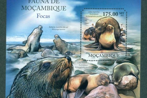 Mozambique-2011-Marine-Life_3