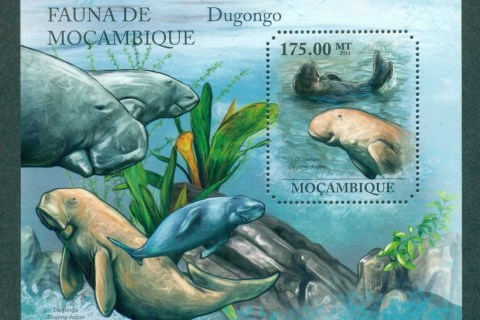 Mozambique-2011-Marine-Life_4