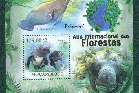 Mozambique-2011-Marine-Life_5