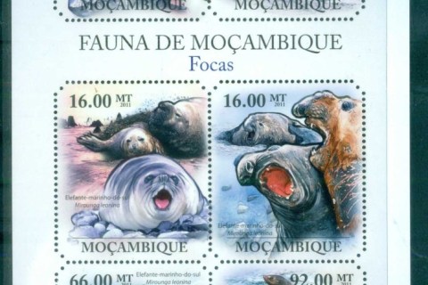 Mozambique-2011-Marine-Life_9