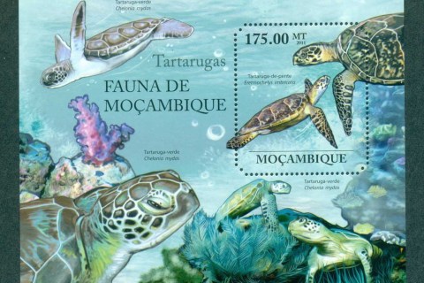 Mozambique-2011-Reptiles