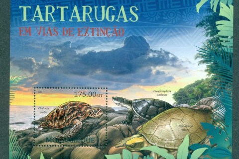 Mozambique-2011-Reptiles_1