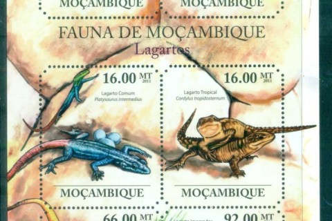 Mozambique-2011-Reptiles_12