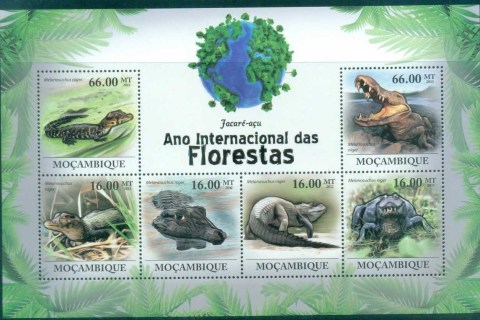 Mozambique-2011-Reptiles_13