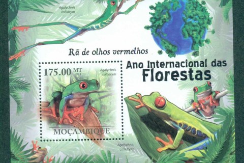 Mozambique-2011-Reptiles_2