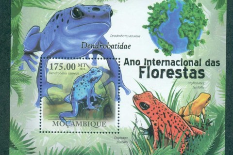 Mozambique-2011-Reptiles_3