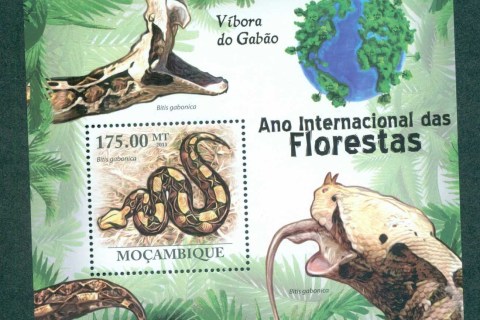 Mozambique-2011-Reptiles_5