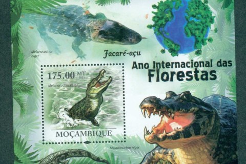 Mozambique-2011-Reptiles_6