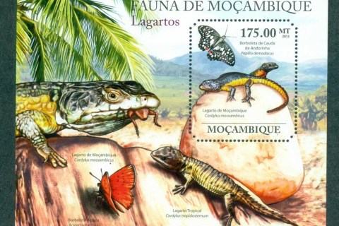 Mozambique-2011-Reptiles_7