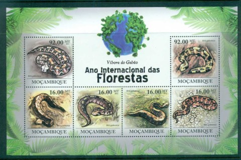 Mozambique-2011-Reptiles_8