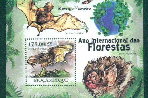 Mozambique-2011-Wildlife_16