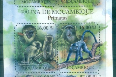 Mozambique-2011-Wildlife_24