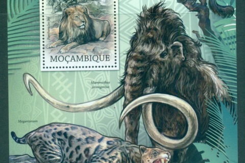 Mozambique-2012-African-Wildlife