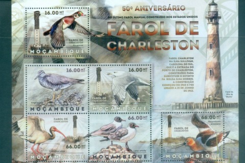 Mozambique-2012-Bird