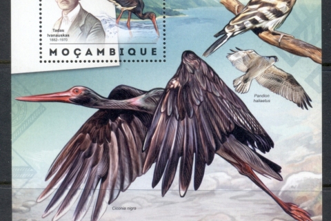 Mozambique-2012-Birds