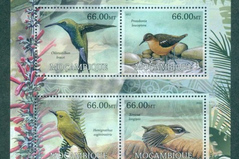 Mozambique-2012-Birds_1