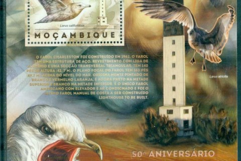 Mozambique-2012-Birds_10