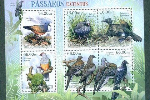 Mozambique-2012-Birds_2