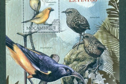 Mozambique-2012-Birds_4