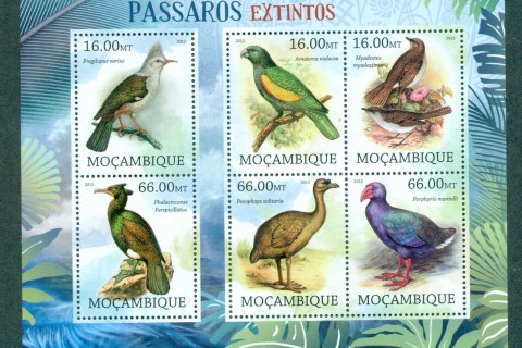 Mozambique-2012-Birds_5