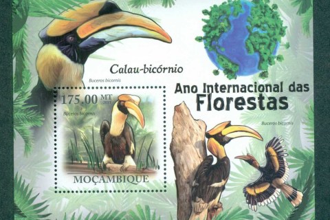 Mozambique-2012-Birds_6