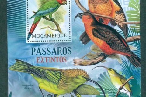 Mozambique-2012-Birds_7