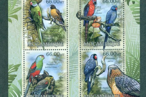 Mozambique-2012-Birds_8