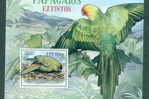 Mozambique-2012-Birds_9