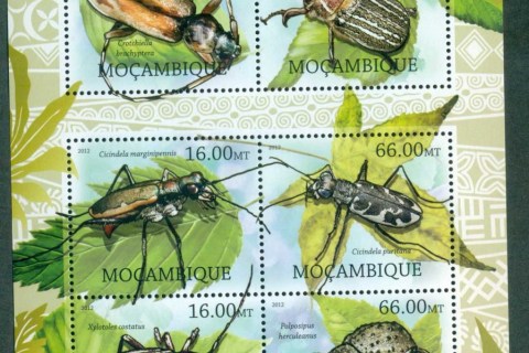 Mozambique-2012-Insects_1