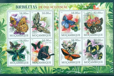 Mozambique-2012-Insects_2