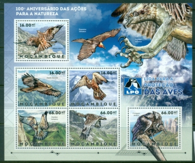 Mozambique-2012-Protected-Birds-MS-MUH