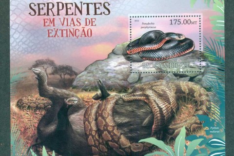 Mozambique-2012-Reptiles