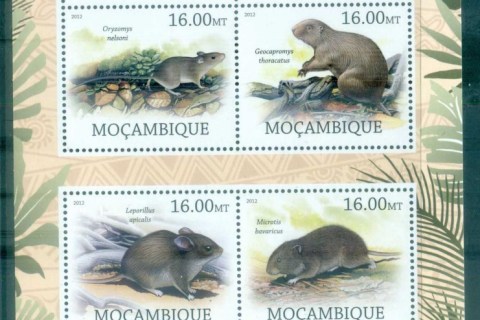 Mozambique-2012-Wildlife_20