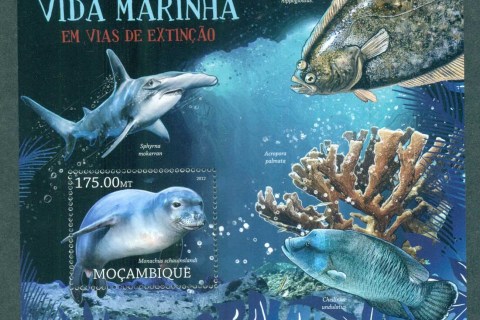 Mozambique-2012-Wildlife_9